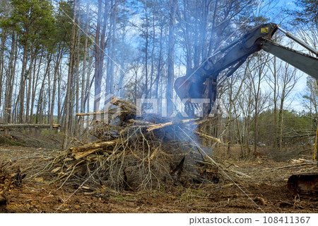 It is necessary to clear land burning uprooted forest fuels construction of new houses It is necessary to clear land burning uprooted forest fuels construction of new houses 108411367