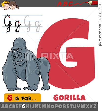 letter G from alphabet with cartoon gorilla animal character 108411501