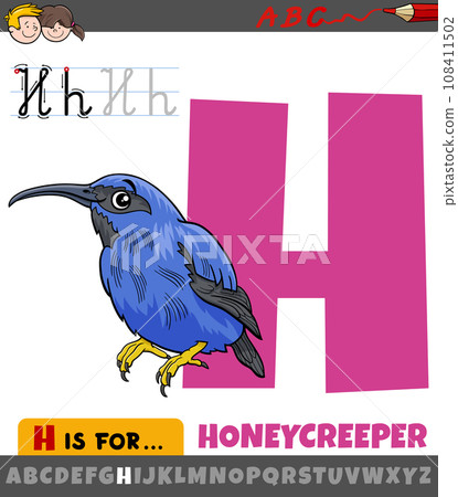 letter H from alphabet with cartoon honeycreeper bird 108411502