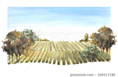 Rural landscape with grape fields, vineyards, bushes, trees, grape plant and blue sky. Winemaking farm field hand draw watercolor illustration. Isolated on white background. Poster, label printing 108411596