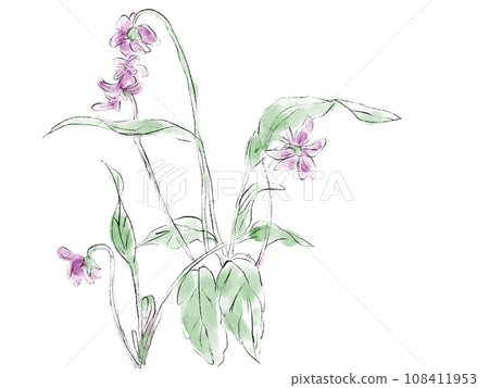 紫羅蘭水彩插圖 108411953