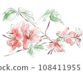 Azalea watercolor illustration 108411955