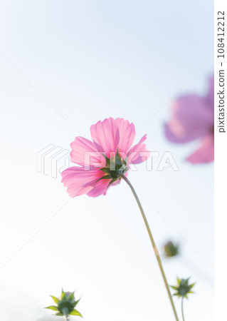 宇宙/秋天影像 宇宙/秋天影像 108412212