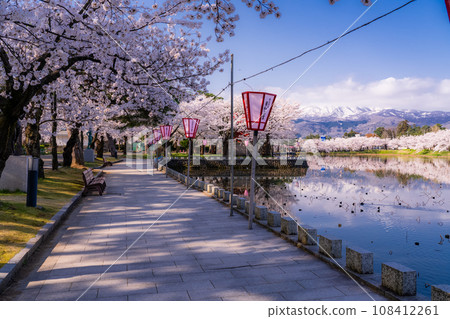 【新潟縣】櫻花盛開,春天的高田城跡公園 【新潟縣】櫻花盛開,春天的高田城跡公園 108412261