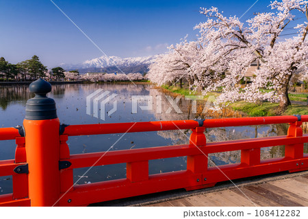 【新潟縣】櫻花盛開,春天的高田城跡公園 【新潟縣】櫻花盛開,春天的高田城跡公園 108412282
