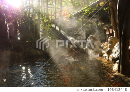 Japan's secret hot spring Ikoi Ryokan 108412448