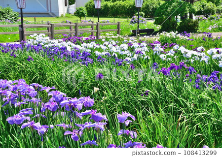 葫蘆A魚花園（新潟縣） 108413299
