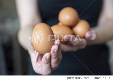 Woman holding chicken eggs close-up. Fresh chicken eggs will be served to the guests. Woman holding chicken eggs close-up. Fresh chicken eggs will be served to the guests. 108414693