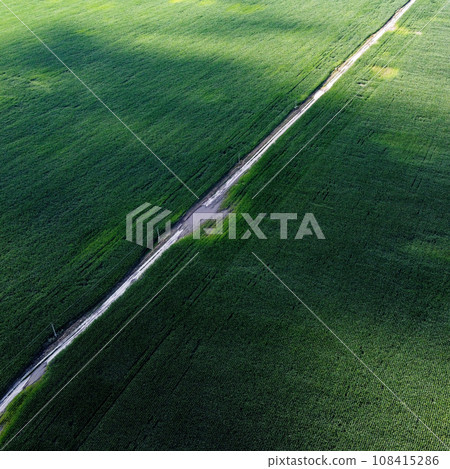 Extensive corn fields, top view. Green farm fields, landscape. Extensive corn fields, top view. Green farm fields, landscape. 108415286