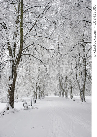 Snow-covered park bench near a tree, winter landscape. Snowfall. Snow-covered park bench near a tree, winter landscape. Snowfall. 108415306