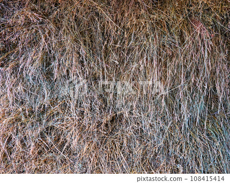 A pile of dry, golden hay, highlighting its texture and the essence of rural life. Hay as a background. A stack of dry fodder grass. 108415414
