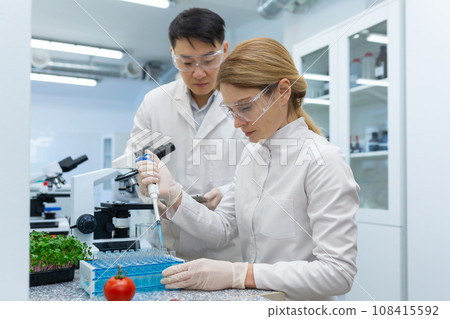 Serious concentrated woman researching food and vegetables at workplace inside laboratory, team of scientists 2 people conduct thinking experiments. 108415592