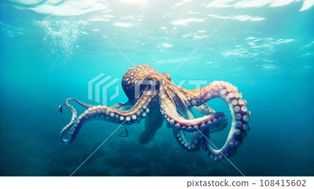 octopus  108415602