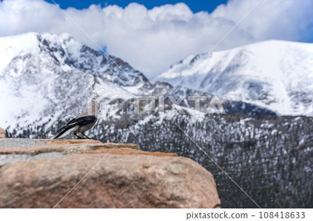 《美國科羅拉多州》洛磯山國家公園 108418633