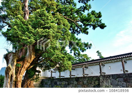 Odawara Castle Ninomaru Landscape of giant trees and bronze gates 108418936