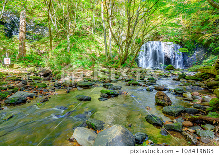 Tatsuzawa Fudo Falls in early autumn, Inawashiro Town, Fukushima Prefecture 108419683