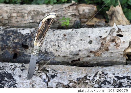 knife knife 108420079