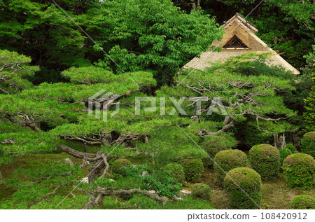 Chikurin-in garden 108420912