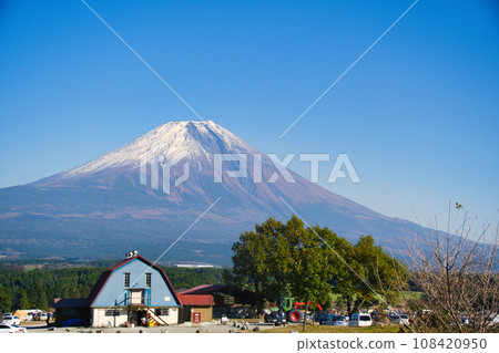 Mt. Fuji seen from the campsite at the foot of Mt. Fuji 108420950