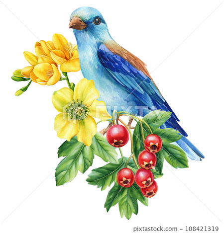 Beautiful bird sitting on a branch with flowers... - Stock Illustration ...