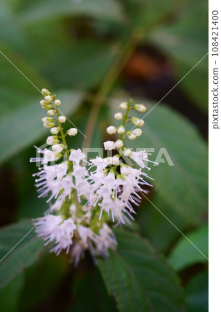 第5286章 108421400