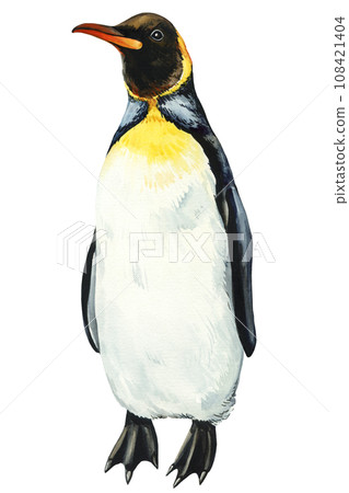Watercolor penguin isolated on white background. Hand drawn emperor penguin illustration. Cute antarctic bird Watercolor penguin isolated on white background. Hand drawn emperor penguin illustration. Cute antarctic bird 108421404