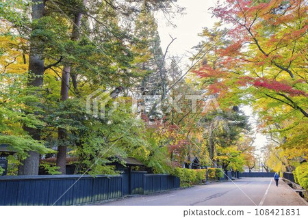 秋天的角館武家宅邸街（青柳家） 秋田縣仙北市的紅葉風景 108421831