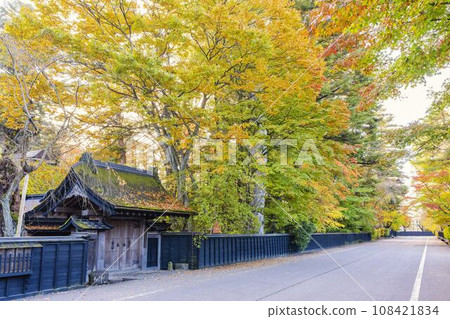 秋田縣仙北市 角館武家宅邸街(青柳屋) 秋葉景色 秋田縣仙北市 角館武家宅邸街(青柳屋) 秋葉景色 108421834