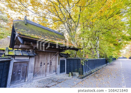 秋田縣仙北市 角館武家宅邸街(青柳屋) 秋葉景色 秋田縣仙北市 角館武家宅邸街(青柳屋) 秋葉景色 108421840