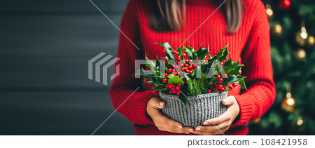 A woman in a red knitted sweater holds a festive Christmas composition, a bouquet of holly branches. Festive composition 108421958