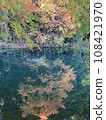 Autumn leaves on a small pond in a mountain village 108421970