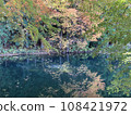 Autumn leaves on a small pond in a mountain village 108421972