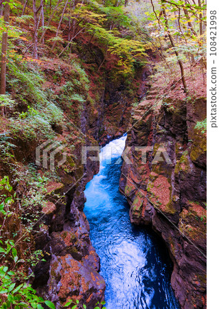 Hatcho dark (vertical) 1 Hatcho dark (vertical) 1 108421998