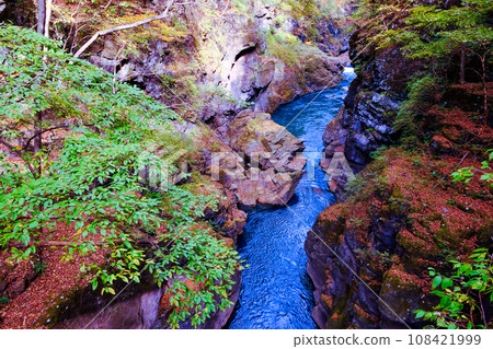 Hatcho darkness 1 108421999