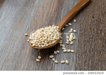 黏大麥勺 黏大麥勺 108422829