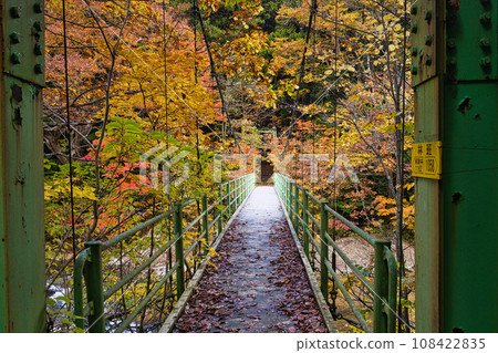 Otome Bridge surrounded by autumn leaves Otome Bridge surrounded by autumn leaves 108422835