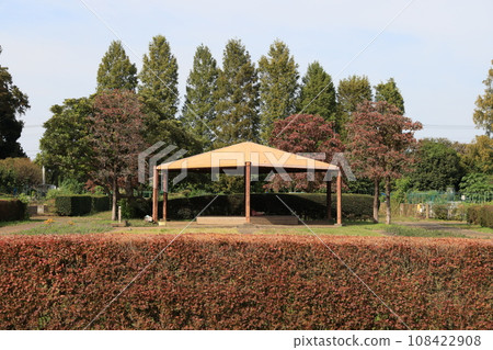 埼玉市三沼綠色中心風景 108422908