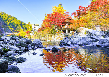 Autumn leaves of Oiidaira Park Autumn leaves of Oiidaira Park 108422965