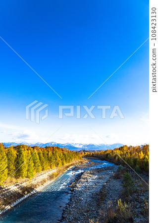藍天秋葉的北海道美瑛川風景 108423130