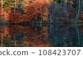 Autumn leaves peak 108423707