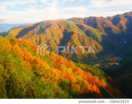 秋葉 2021.11.7 岐阜縣長野縣阿智村 108423824