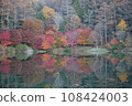 Autumn leaves peak 108424003
