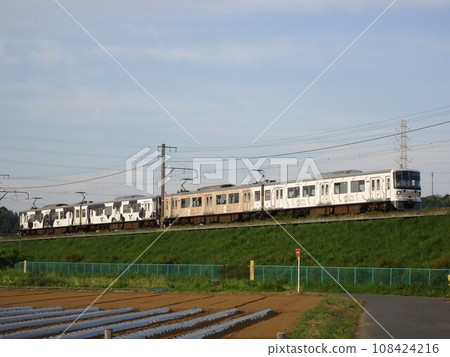 A sheep train running along an embankment A sheep train running along an embankment 108424216