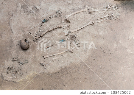 Prehistoric human skeleton between 1,500-3,000 years old at Ban Prasat archaeological site, Non Sung District, Nakhon Ratchasima Province, Thailand. 108425062