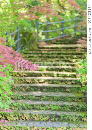Temple stairs with moss and plants and red maple leaves 108425184