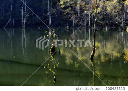 秋天的天然湖泊 秋天的天然湖泊 108425613