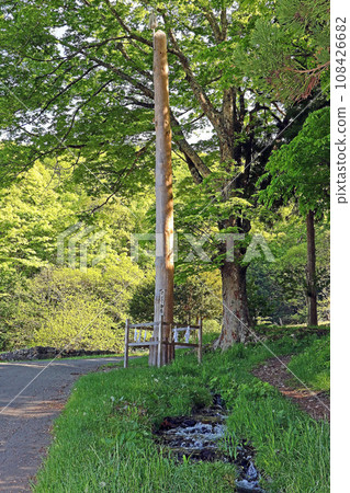 Suwa Taisha Kamisha Maemiya (Chino) Suwa Taisha Kamisha Maemiya (Chino) 108426682