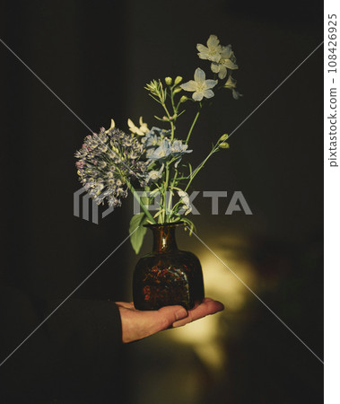 插在花瓶裡的花朵被西邊的陽光照亮 108426925