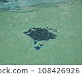 水面反射出的底部圖案 108426926