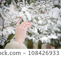 女人的手觸摸雪樹枝 108426933